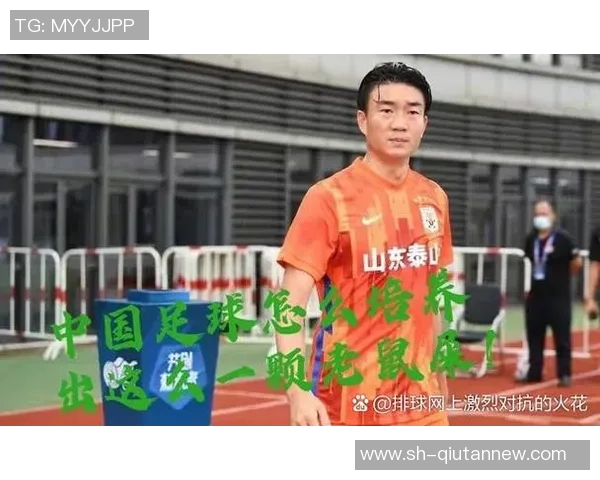 韩国足球界的争议人物盘点那些被球迷讨厌的明星球员